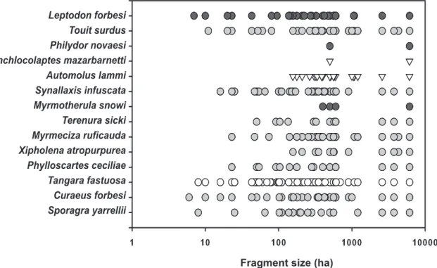 FIGURE 2: Species-area relationship for threatened birds species (n = 13) in variable-sized forest fragments in the PCE.