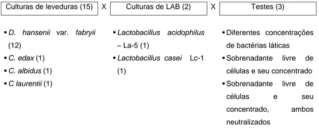 Figura 3 - Planejamento dos experimentos a partir do estudo do comportamento  antimicrobiano in vitro, em duplicata