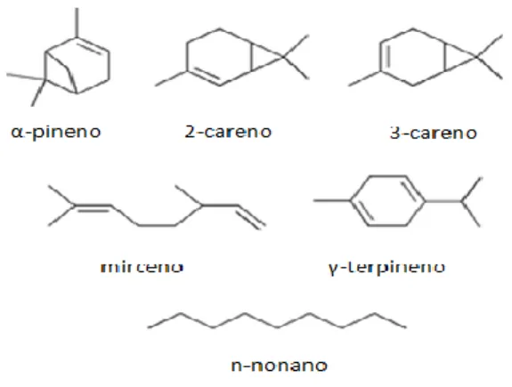 Figura 1 – Estrutura química de alguns terpenos  (adaptado de Timerghazin &amp; Ariya, 2001)  1.3.2
