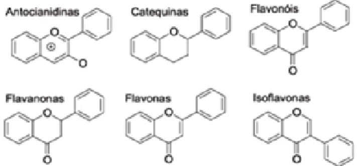 Figura 4- Estrutura química dos principais tipos de flavonóides. 