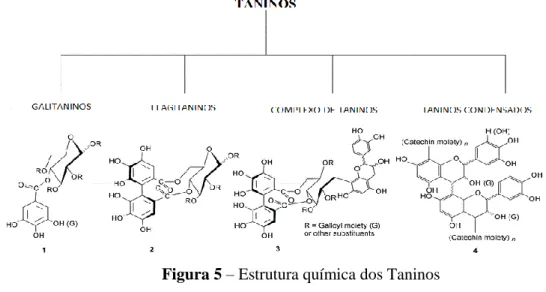 Figura 5 – Estrutura química dos Taninos  (adaptado de Khanbabaee &amp; van Ree, 2001)  1.4