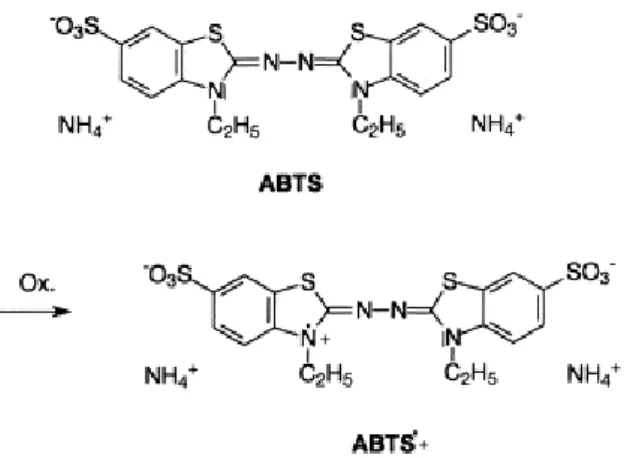 Figura 11 - Principio do método da determinação da capacidade antioxidante com o radical ABTS •+ 