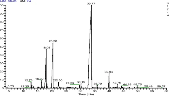 Figura 14 – Cromatograma do óleo essencial do Thymus mastichina 