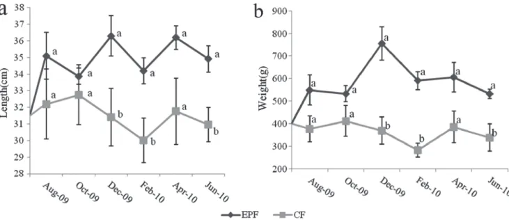 Fig. 3. Mean values of the gonadosomatic index of P. lineatus during the experimental period