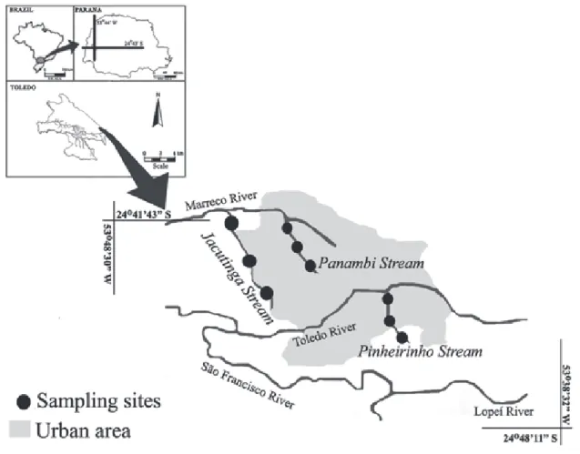 Fig. 1. Sampling sites in three streams located in the city of Toledo, State of Paraná, southern Brazil.
