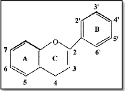 Figura 2 – Núcleo de um flavano. 