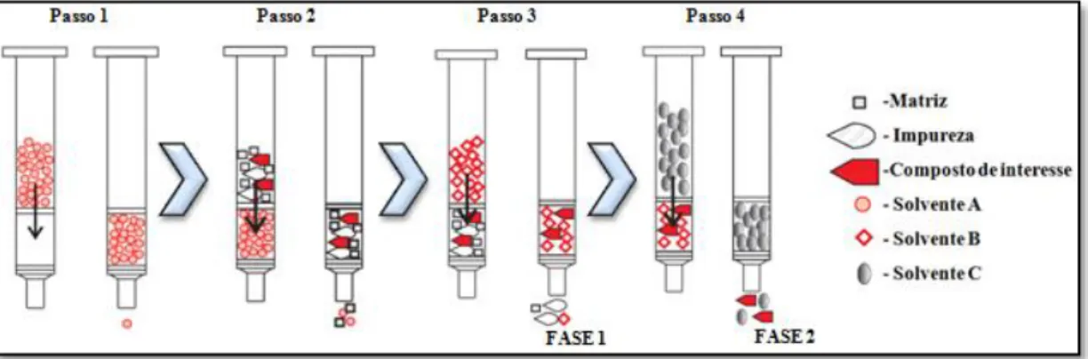 Figura 8 – Esquema elucidativo do procedimento da extração em fase sólida. 