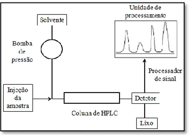 Figura 9 – Representação esquemática do sistema de RP-HPLC.  