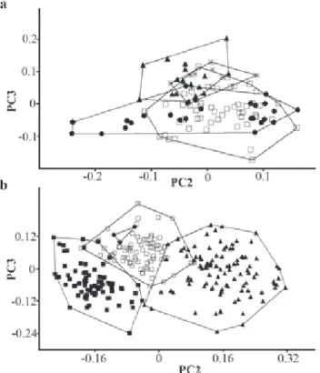 Fig. 2. Plots of scores obtained by Principal Components Analysis. a) Three populations of Rineloricaria lanceolata (Triangles = Upper Amazonas River, Asterisks = Araguaia River, Dots = Middle Amazonas River and tributaries) and one population of Rineloric