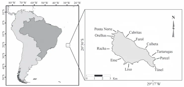 Fig. 1. Map of Trindade Island, off the Brazilian Central Coast, indicating the sampled sites.