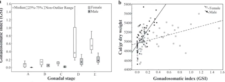 Fig. 5. Correlation between standard length and caloric content of females and males. Gonadal maturation stages: A = immature, B = resting, C = maturing, D = mature, E = spent.