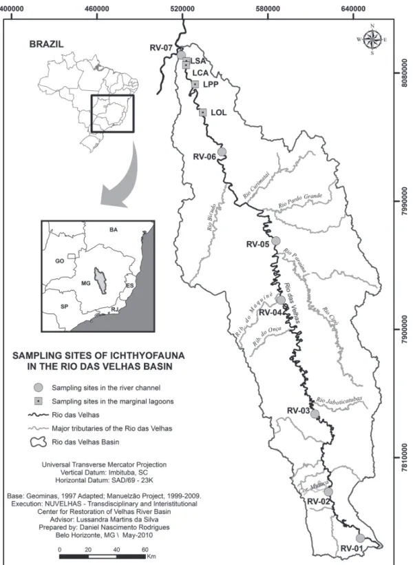 Fig. 1. Map of the rio das Velhas basin with locations of sampling sites.
