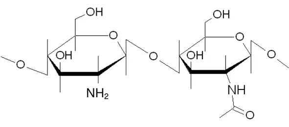 Figura 3.4 Estrutura molecular do copolímero de quitosana contendo grupos acetamida   e amina no carbono 2 (Madihally &amp; Matthew, 1999)