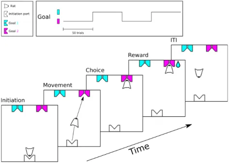 Figure 1 - Free choice spatial task  Task timeline and structure