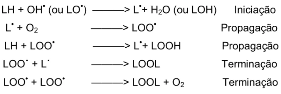 Figura 4. Etapas da Lipoperoxidação 
