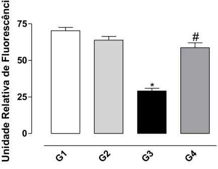Figura 9: Efeito protetor da bixina sobre a oxidação de NADPH induzida pelo  CCl 4  no homogenato de fígado de ratos conforme descrito em Material e  Métodos
