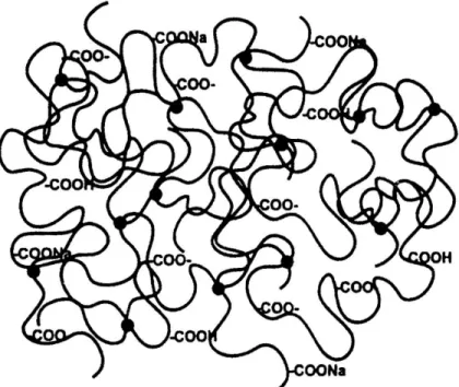 Figura 2.3: Modelo de um polímero superabsorvente iônico, com ligações  cruzadas e grupo funcional carboxilato