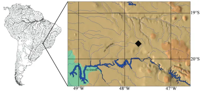 Fig. 4. Distribution map of Hyphessobrycon uaiso (square) in rio Uberaba (detail), rio Grande drainage, upper rio Paraná basin, Brazil