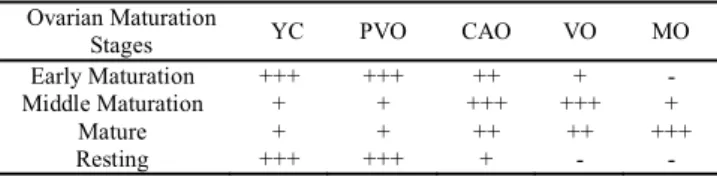 Table 1. Ovarian maturation stages of black triggerfish based on the occurrence of different oocyte development stages.