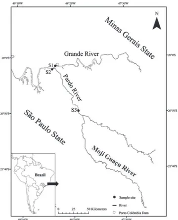 Fig. 1. Study area with indication of the sample sections.