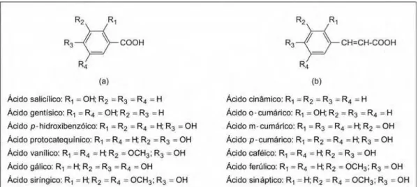 Figura 3 – Estrutura química dos ácidos hidroxibenzóicos (a) e hidroxicinâmicos  (b). 