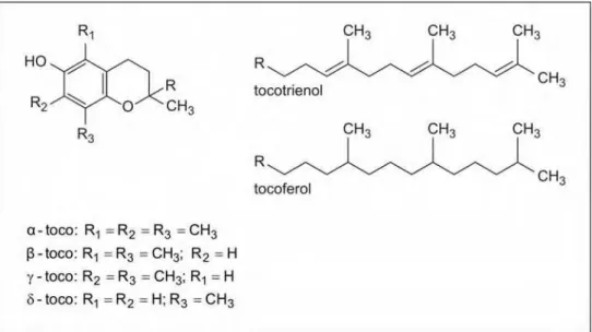 Figura 5 – Estrutura química do tocoferol e tocotrienol. 