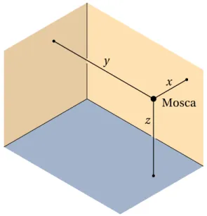 Figura 1.2.: Coordenadas cartesianas de uma mosca numa sala retangular.