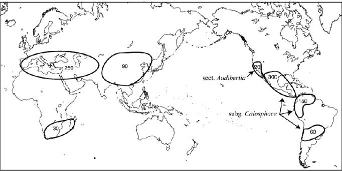 Figura  2  -  Centros  de  diversidade  do  género  Salvia.  Em  cada  área  encontra-se  o  número  referente  às  espécies  existentes em cada região (Fonte: Walker et al., 2004) 