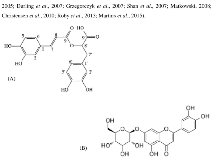 Figura  11  -  Estrutura  química  dos  compostos  fenólicos  em  S.  officinalis  L.  (A)  Ácido  Rosmarínico