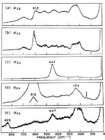 Figura 2.3: Espectros Raman polarizados de um monocristal de TiO 2  Rutilo nas  configurações (a) zz, (b) zz a 77K, (c) zx, (d) xx e (e) yx [8]