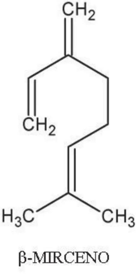 FIGURA 11) Estrutura química do monoterpeno ǃ-mirceno 