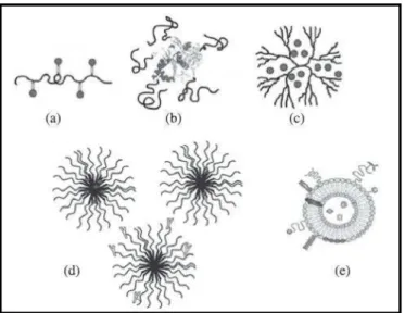 Figura 3.7: Sistemas nanoestruturados, micelares e vesiculares: a) conjugados fármaco- fármaco-polímero; b) conjugados proteína-fármaco-polímero; c) dendrímeros; d) micelas; e)lipossomos