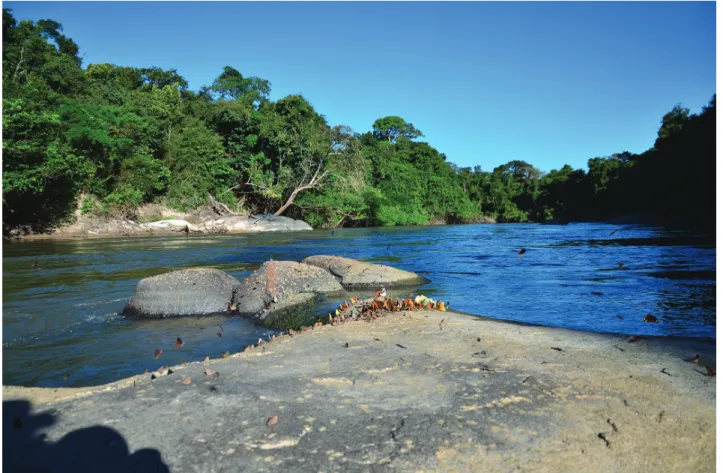 Fig. 6. Type locality of Aphanotorulus rubrocauda, Brazil, Amazonas State, Apuí Municipality, boulders on rapids 40 minutes  above of the Comil farm, rio Madeirinha, rio Aripuanã basin