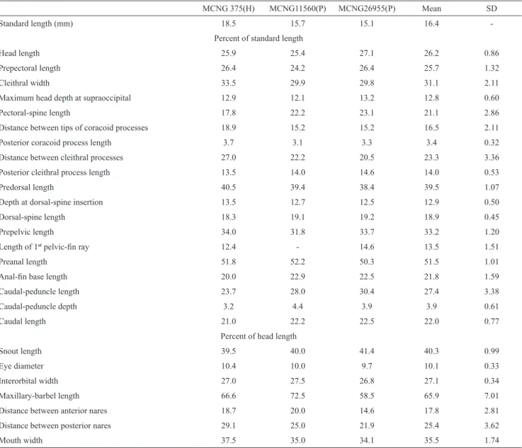 Tab. 1.  Morphometric data of holotype (H) and two paratypes (P) of Hoplomyzon cardosoi