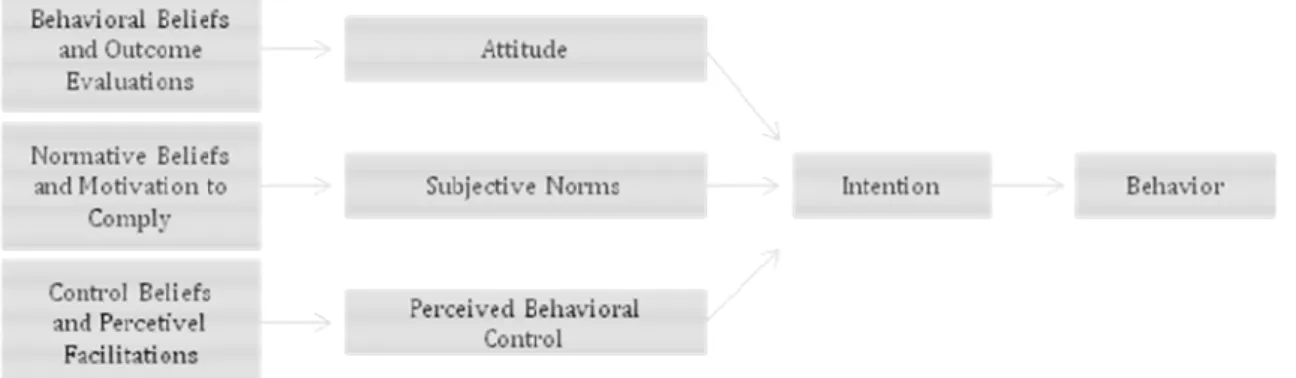 Figura 6: Theory of Planned Behavior 