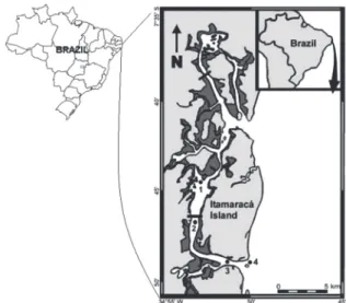 Figure 1. Santa Cruz Channel (SCC), with sampling stations  indicated by numbers: 1 = Congo River mouth; 2 = President  Vargas bridge; 3 = Paripe River mouth; and 4 = Coroa do  Avião sand bank