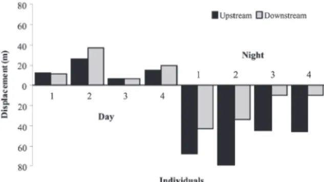 Figure 4. Aegla manuinflata. Animals monitored by radio-telemetry  at a stream on Southern Brazil on February/2009: displacement of  four individuals (1, 2, 3 and 4) downstream and upstream during  eight days of observation considering displacement on day 