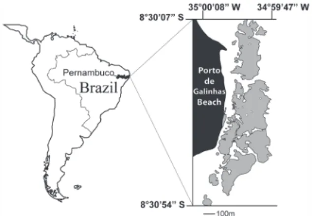 Figure 1. Reef area studied on Porto de Galinhas Beach, state  of Pernambuco, northeastern Brazil.