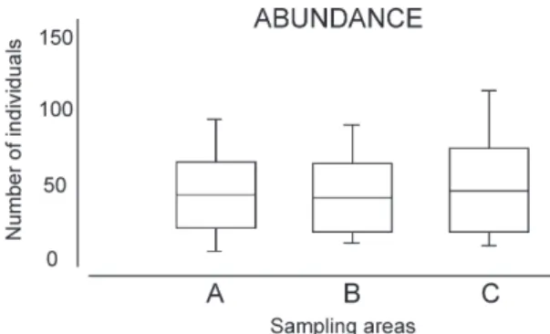 Figure 3. Abundance box plot of decapod species in  Porto de Galinhas, Pernambuco, Brazil, showing the  values for the three sampling areas: Confined Water  (A), Semi-open Water (B) and Open Water (C).