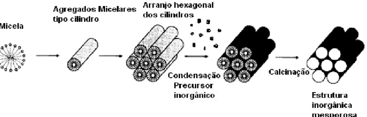 Figura 1.4: Esquema da formação da estrutura inorgânica mesoporosa mediada por agente  direcionador de estrutura