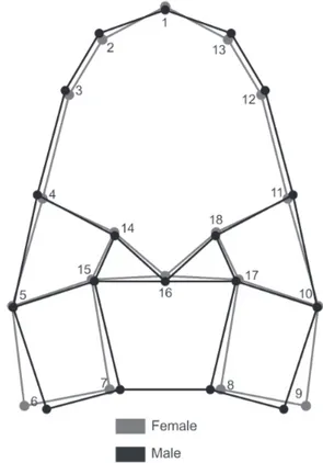 Figure 2.  Aegla marginata. Sexual dimorphism in the  shape of carapace. Deformations magnified 3 times.