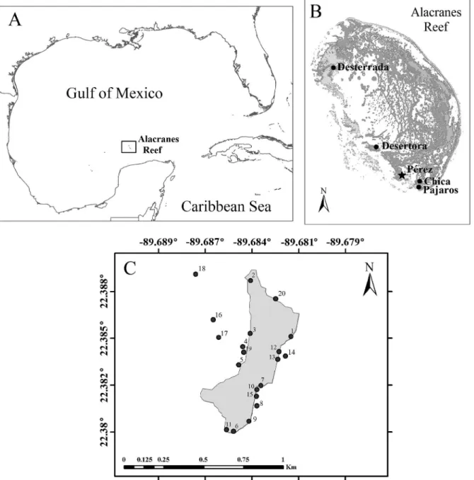 Figure 1. Location maps of the study area. (A) Alacranes Reef, southern Gulf of Mexico
