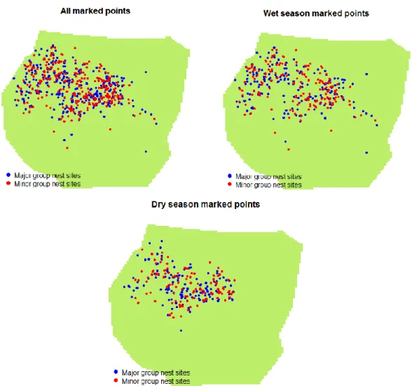 Figure 14: Marked spatial point patterns of two gorilla groups nest sites in the Kagwene  Sanctuary, Cameroon