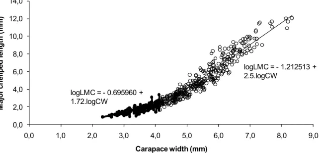 Figure 1. Uca uruguayensis. Dispersion graph of the empirical dots between the width of the carapace (CW) and the length of the  major chela (LMC) in males