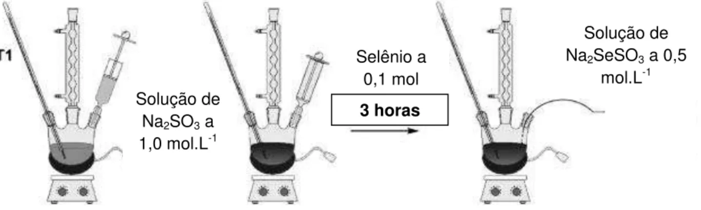 Figura 4.5  – Aparato de preparação da solução de selênio sulfito de sódio. 