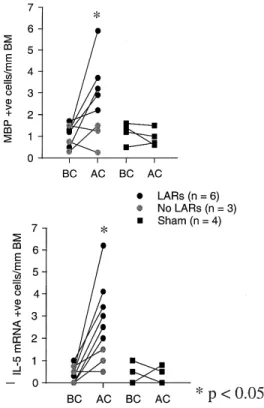 Fig 5: IL-5 mRNA expression following allergen challenge in BN rats. The number of IL-5 mRNA +ve cells/mm basement membrane in the bronchial mucosa of  Brown Norway  rats and Sprague-Dawley  rats following ovalbumin allergen challenge.