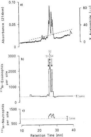 Fig. 1: purification of eotaxin from BAL fluid. a) Final reversed phase HPLC profile showing absorbance at 214nm and the  ac-etonitrile gradient