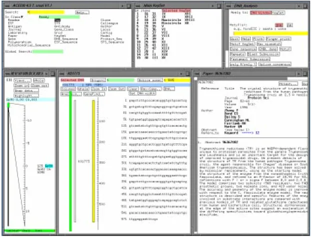Fig. 1: typical screen of TcruziDB. In the upper left: the main panel with clickable objects