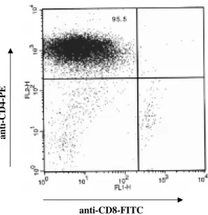 Fig. 2: flow cytometry analysis of an anti-heart autoreactive T cell line. The T cell line was obtained from chagasic DBA mice repeatedly stimulated in vitro with heart isologous antigen