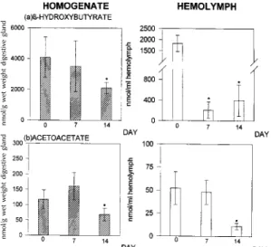 Fig. 3: volatile acid concentration, i.e., acetate (a) and propionate (b), in the digestive gland and in the hemolymph of Biomphalaria glabrata under estivation